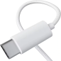 USB Type C earphones